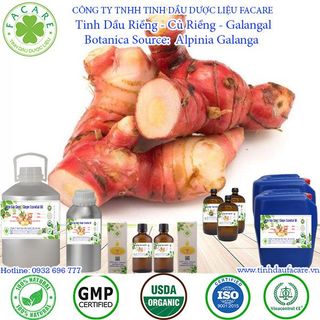 Tinh dầu riềng Galangal Essential Oil - 100ml