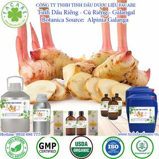 Tinh dầu riềng Galangal Essential Oil - 100ml