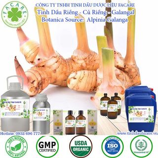 Tinh dầu riềng Galangal Essential Oil - 100ml