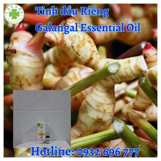 Tinh dầu riềng Galangal Essential Oil - 100ml