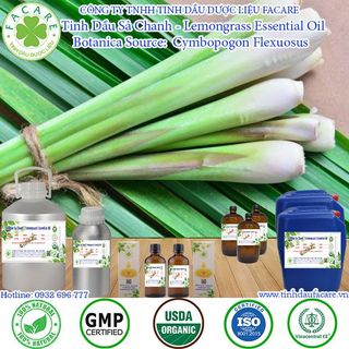 Tinh dầu Sả Chanh Lemongrass essential oil giúp khử mùi, thơm phòng - 50ml