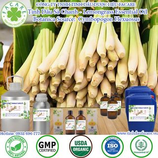 Tinh dầu Sả Chanh Lemongrass essential oil giúp khử mùi, thơm phòng - 50ml