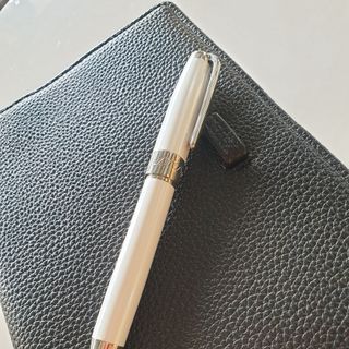 Bút ký thời trang cao cấp (FP-SLW17-1)