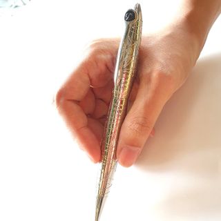 Bút ký thời trang cao cấp (FP-SLW6)