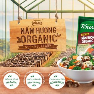 Knorr Hạt Nêm Nấm Organic 380g
