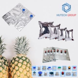 Túi vô trùng Aseptic BIB màng nhôm chất lượng cao đa dạng dung tích từ 1L đến 220L