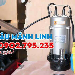 Bơm chìm nước thải có phao LUCKYPRO giá 1.420.000