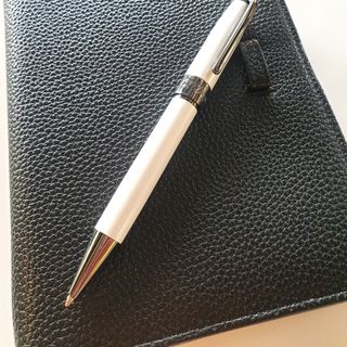 Bút ký thời trang cao cấp (FP-SLW15)