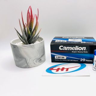 Hộp 40 viên pin 2A Camelion, loại Tốt