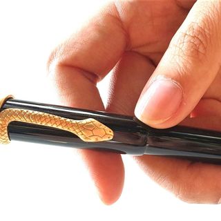 Bút ký thời trang cao cấp (FP-SLW31)