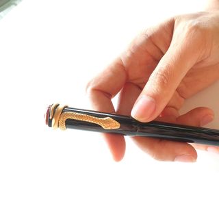 Bút ký thời trang cao cấp (FP-SLW29)
