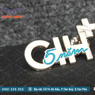 Pin, huy hiệu cài áo