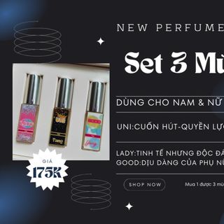 Set nước hoa 3 chai mini