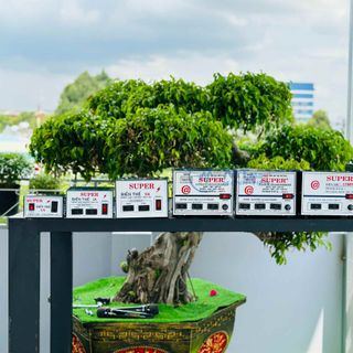 Biến Thế 10A SUPER Chuyển Điện 220V Ra 110V - 100V - 1000W