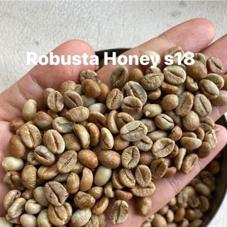 Cà phê nhân xanh Robusta honey s18 giá sỉ