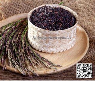 TRÀ GẠO LỨT XẠ ĐEN RANG TAY (500 Gram/gói)