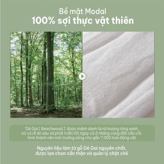 Băng vệ sinh Hàn Quốc REAL MODAL ban ngày có cánh 26cm M(16miếng/1gói) giá sỉ / giá bán buôn