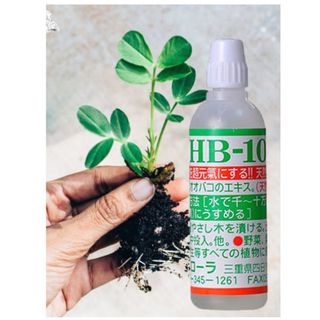 Thuốc kích rể làm xanh lá giúp tăng trưởng cây HB-101 công nghệ NHẬT BẢN