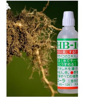 Thuốc kích rể làm xanh lá giúp tăng trưởng cây HB-101 công nghệ NHẬT BẢN