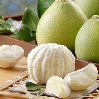 Bưởi Hoàng nhà vườn Tượng Hậu Lạc Thủy 4 vạn quả trồng 16 năm