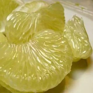 Bưởi Hoàng nhà vườn Tượng Hậu Lạc Thủy 4 vạn quả trồng 16 năm