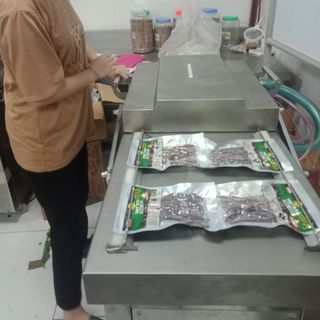 Máy hút chân không 2 buồng DZ600-2SA