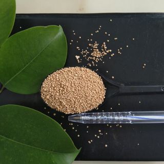 BIO HERO – Vi sinh hạt xử lý đáy ao nuôi giá sỉ - giá bán buôn