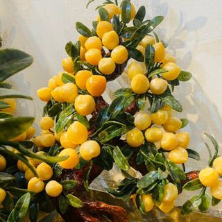 Cây Đào Ngọc Hoàng Long Thiên Nhiên 68 Quả, cao 80 x 55 cm