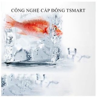 Tủ lạnh mini 2 ngăn cao cấp tiết kiện điện, ngăn đá và ngăn làm mát tách biệt, để đồ ăn, đồ trang điểm tiện lợi,BH 2 năm