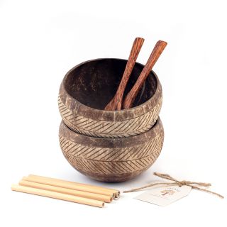 Bộ sản phẩm bát dừa 12 (2 gáo dừa, 2 muỗng dừa, 4 ống hút tre, 1 túi tote)