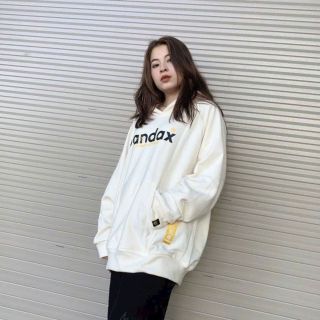 Áo hoodie Unisex local brand in pandax big logo giá sỉ - giá bán buôn