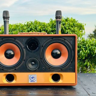 Loa Xách Tay Chính Hãng MTMax DK07 - Loa Karaoke Cao Cấp Công Suất Lớn 300W 2 Bass Trầm 20CM Công Nghệ Bass Boots Kèm 2 Micro Không Dây Giá Tốt Bảo Hành 12 Tháng