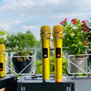 Loa Karaoke T9 Plus Bass 20 Đèn LED RGB Nháy Theo Nhạc – Trãi Nghiệm Âm Thanh Trung Thực Với Bass Treble Khỏe Khắn