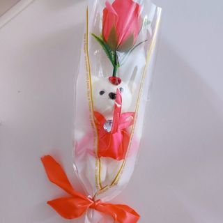BÓ 1 HOA GẤU BÔNG