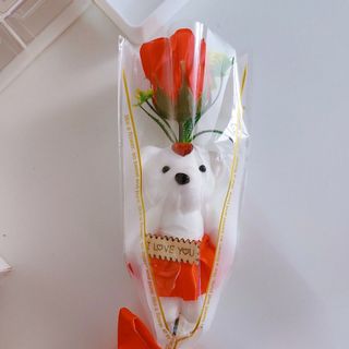 BÓ 1 HOA GẤU BÔNG