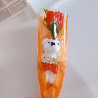 BÓ 1 HOA GẤU BÔNG