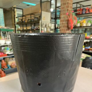 Bịch bầu ươm cây cỡ 30x28 - Bao 20kg