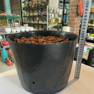 Bịch bầu ươm cây cỡ 30x28 - Bao 20kg