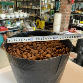 Bịch bầu ươm cây cỡ 30x28 - Bao 20kg
