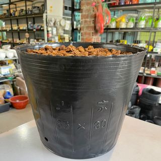 Bịch bầu ươm cây cỡ 36x30 - Bao 20kg