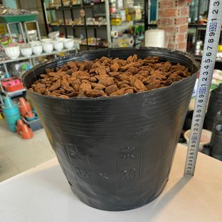 Bịch bầu ươm cây cỡ 36x30 - Bao 20kg
