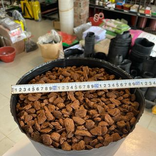 Bịch bầu ươm cây cỡ 36x30 - Bao 20kg