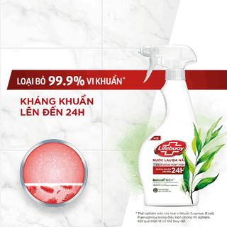 Lifebuoy Xịt Đa Năng Botani 500g