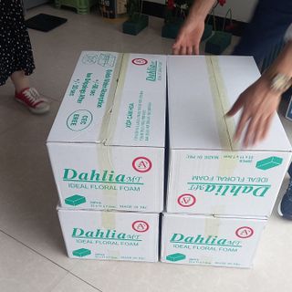 Xốp cắm hoa nhập khẩu