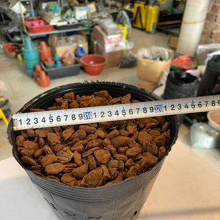 Túi bầu ươm cây cỡ 26x21 - Bao 20kg