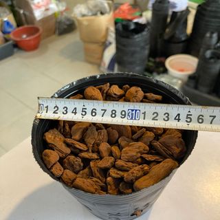 Túi bầu ươm cây cỡ 18x16 - Bao 20kg