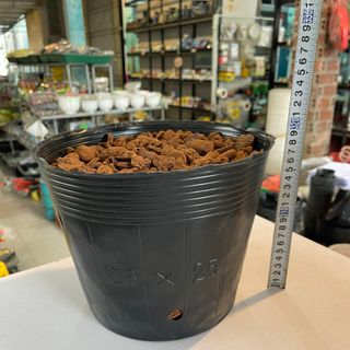 Túi bầu ươm cây cỡ 28x25 - Bao 20kg