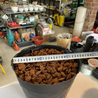 Túi bầu ươm cây cỡ 28x25 - Bao 20kg