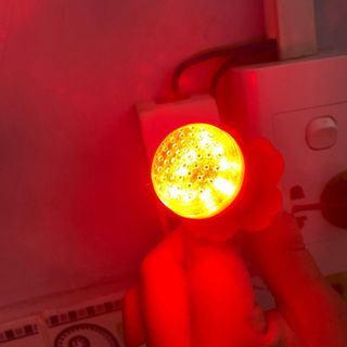 ￼Bóng đèn LED bàn thờ đủ màu, có chớp (vỉ 2 bóng) giá sỉ