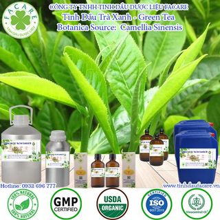 Tinh dầu Trà Xanh Green Tea essential oil giúp chăm sóc da hiệu quả - 50ml giá sỉ